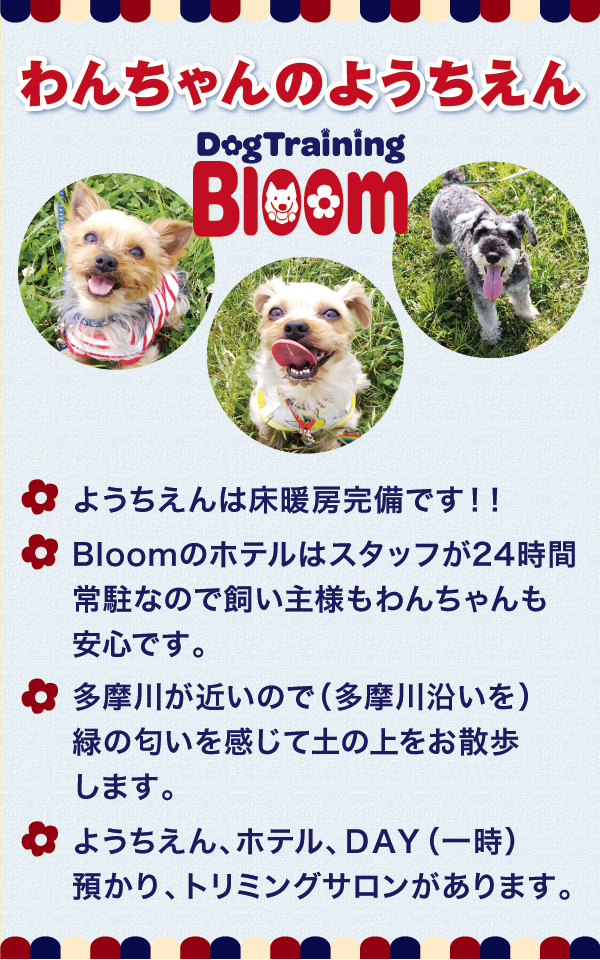 Dog Training Bloom`hbOg[jOu[`