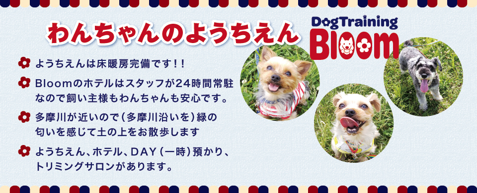 Dog Training Bloom`hbOg[jOu[`