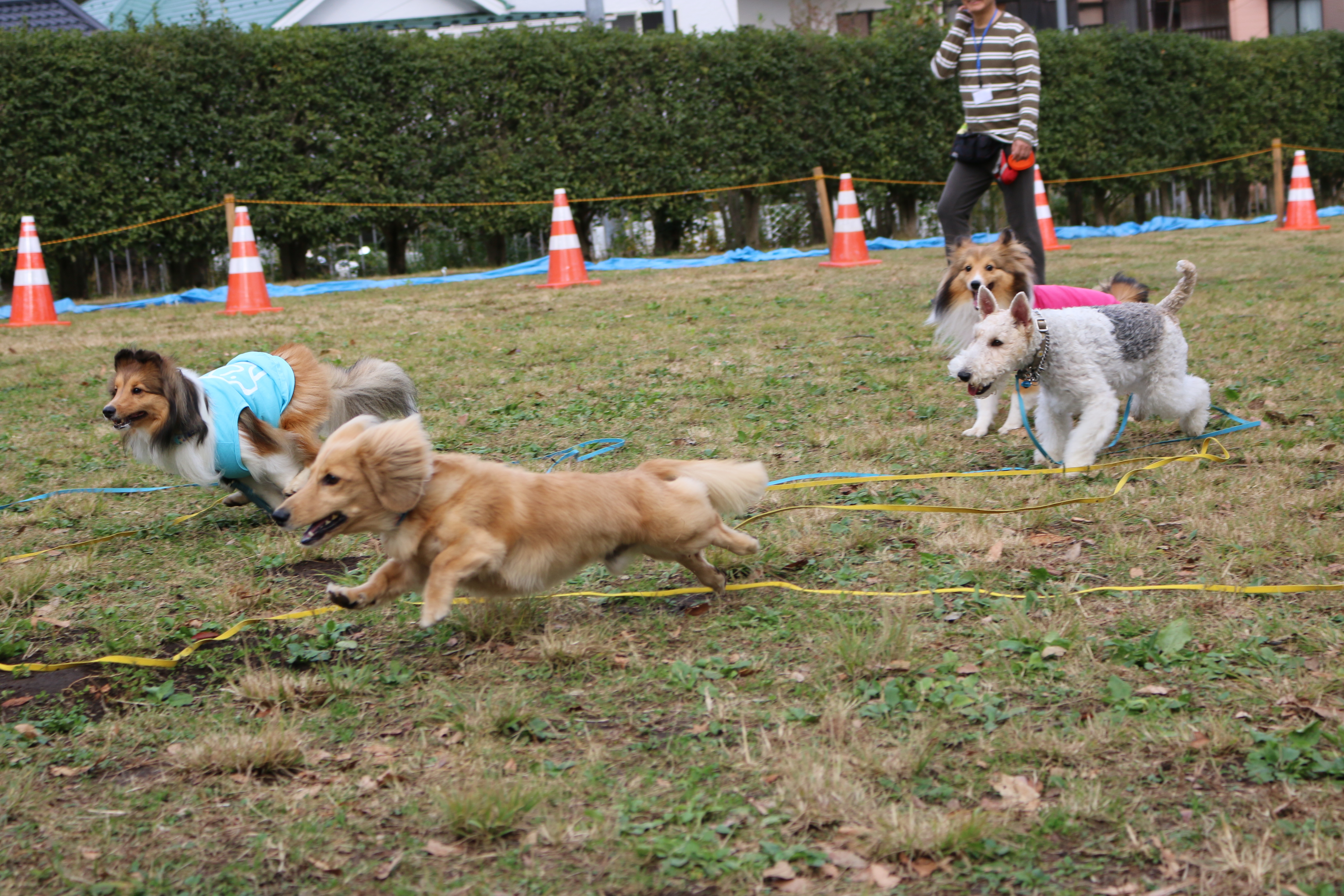 image0 image0